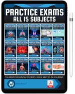 ALL 15 SUBJECT PRACTICE EXAMS